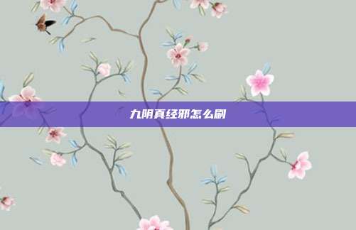 九阴真经邪怎么刷