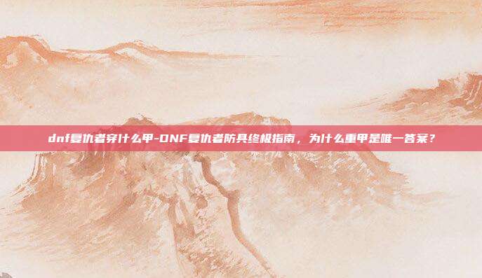 dnf复仇者穿什么甲-DNF复仇者防具终极指南，为什么重甲是唯一答案？