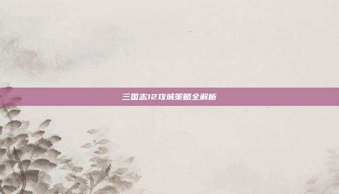 三国志12攻城策略全解析