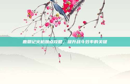 鹿鼎记火枪加点攻略,提升战斗效率的关键