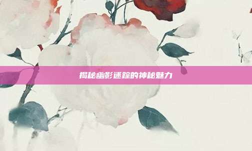 揭秘幽影迷踪的神秘魅力