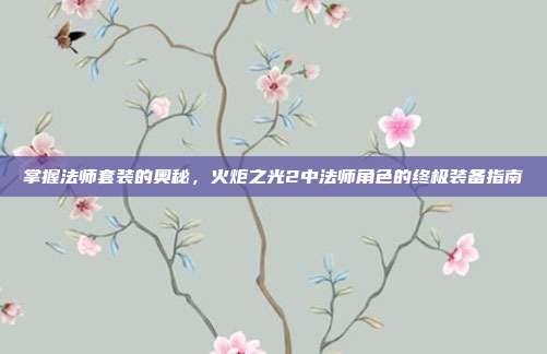 掌握法师套装的奥秘,火炬之光2中法师角色的终极装备指南