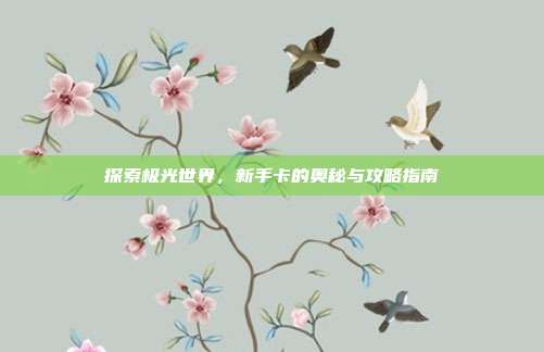探索极光世界,新手卡的奥秘与攻略指南
