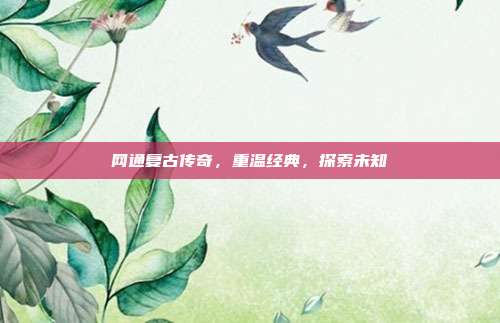 网通复古传奇,重温经典,探索未知