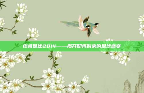 终极足球2014——揭开即将到来的足球盛宴