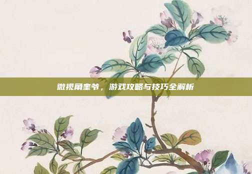 微视角奎爷,游戏攻略与技巧全解析