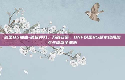 剑圣85加点-破极兵刃，万剑归宗，DNF剑圣85版本终极加点与流派全解析
