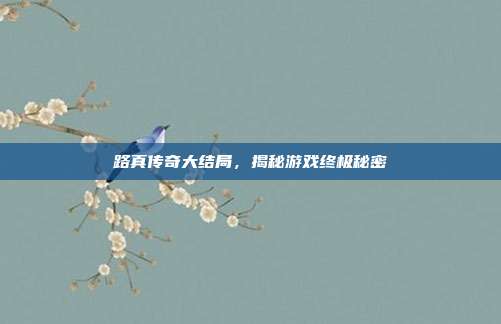 路真传奇大结局,揭秘游戏终极秘密