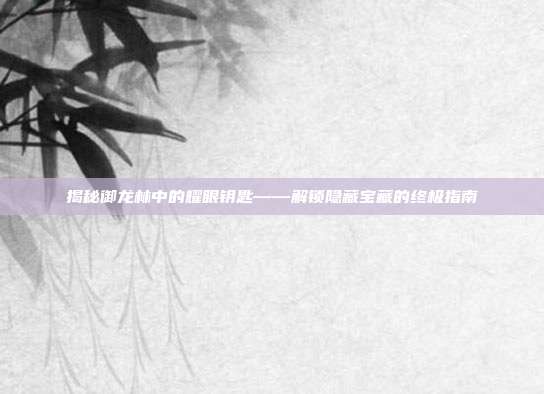 揭秘御龙林中的耀眼钥匙——解锁隐藏宝藏的终极指南