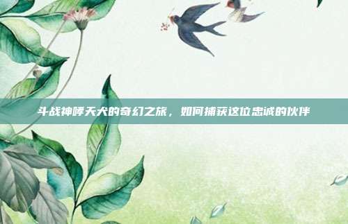 斗战神哮天犬的奇幻之旅,如何捕获这位忠诚的伙伴