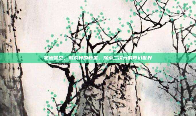 宅漫星空,游戏界的新星,探索二次元的奇幻世界