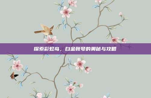 探索彩虹岛,白金账号的奥秘与攻略
