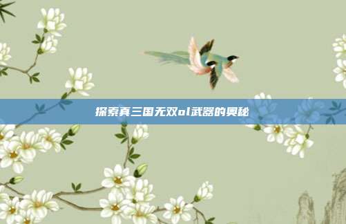 探索真三国无双ol武器的奥秘