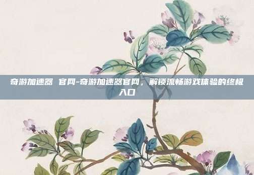 奇游加速器 官网-奇游加速器官网，解锁流畅游戏体验的终极入口