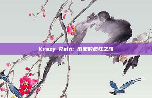 Krazy Rain: 雨滴的疯狂之旅