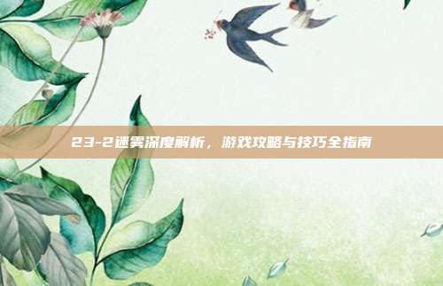 23-2迷雾深度解析,游戏攻略与技巧全指南