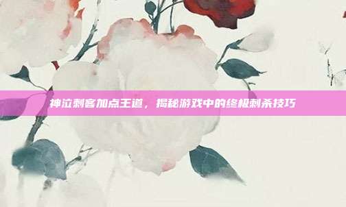 神泣刺客加点王道,揭秘游戏中的终极刺杀技巧