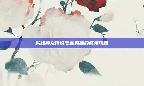 揭秘神龙传说隐藏英雄的终极攻略