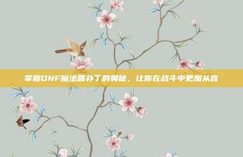 掌握DNF魔法盾补丁的奥秘,让你在战斗中更加从容