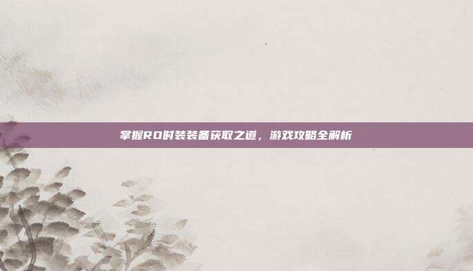 掌握RO时装装备获取之道，游戏攻略全解析