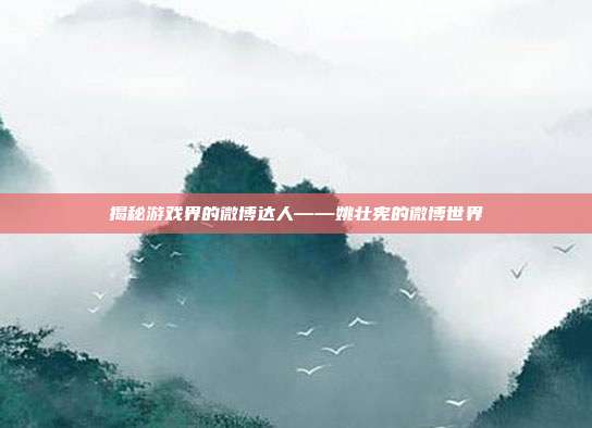 揭秘游戏界的微博达人——姚壮宪的微博世界
