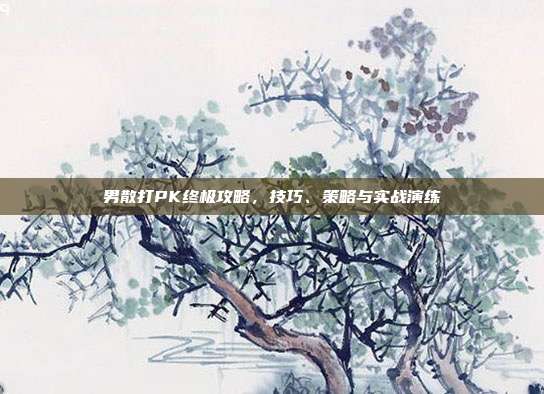 男散打PK终极攻略,技巧、策略与实战演练