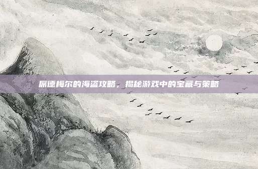 席德梅尔的海盗攻略,揭秘游戏中的宝藏与策略
