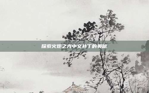探索火炬之光中文补丁的奥秘