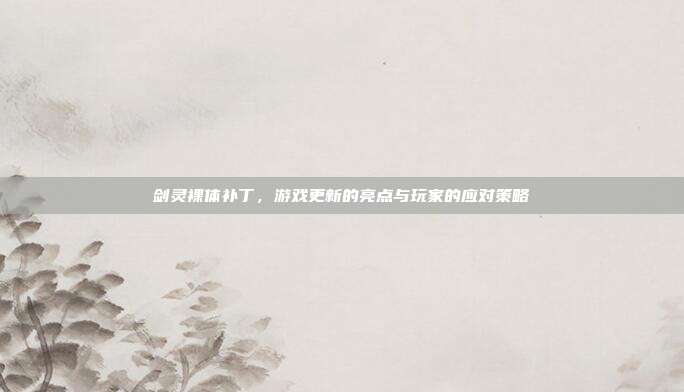 剑灵裸体补丁,游戏更新的亮点与玩家的应对策略