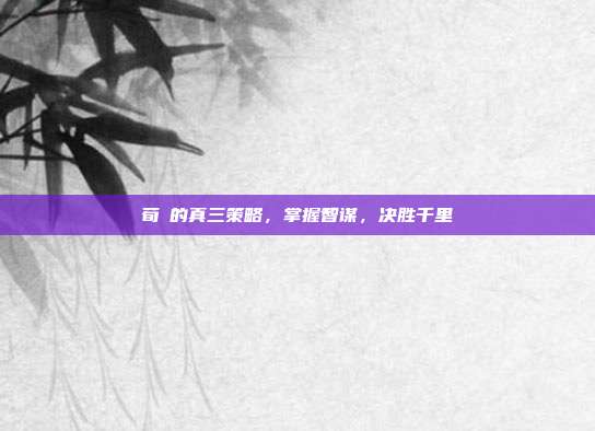 荀彧的真三策略,掌握智谋,决胜千里