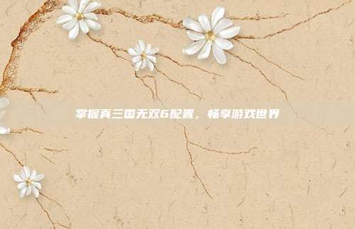 掌握真三国无双6配置,畅享游戏世界