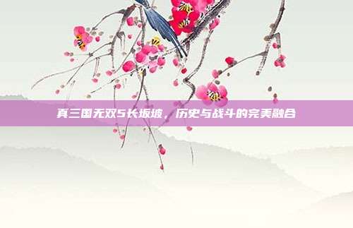 真三国无双5长坂坡,历史与战斗的完美融合