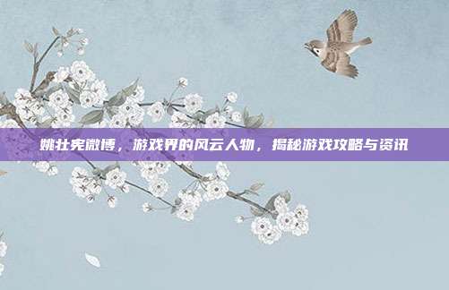 姚壮宪微博，游戏界的风云人物，揭秘游戏攻略与资讯