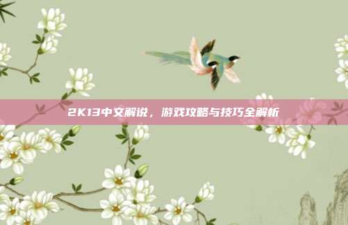2K13中文解说,游戏攻略与技巧全解析