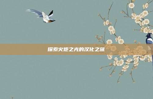 探索火炬之光的汉化之旅