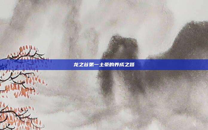 龙之谷第一土豪的养成之路