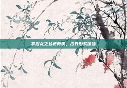 掌握龙之谷疲劳表,提升游戏体验