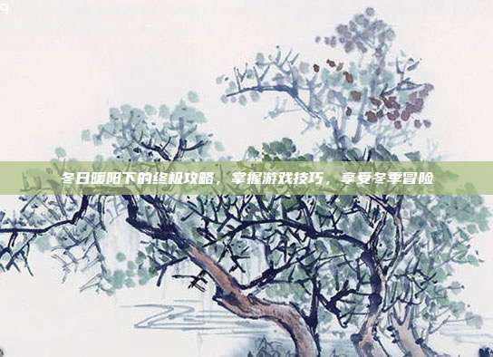 冬日暖阳下的终极攻略,掌握游戏技巧,享受冬季冒险