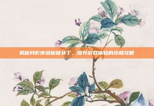 揭秘月影传说秘籍补丁,提升游戏体验的终极攻略