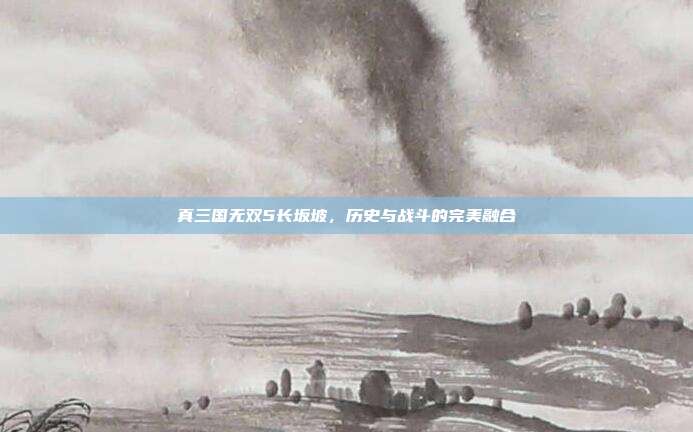 真三国无双5长坂坡,历史与战斗的完美融合