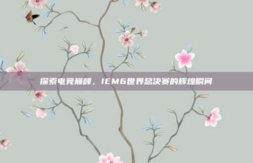 探索电竞巅峰，IEM6世界总决赛的辉煌瞬间