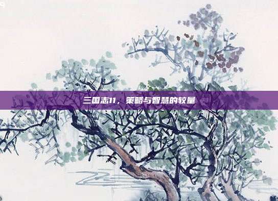 三国志11，策略与智慧的较量