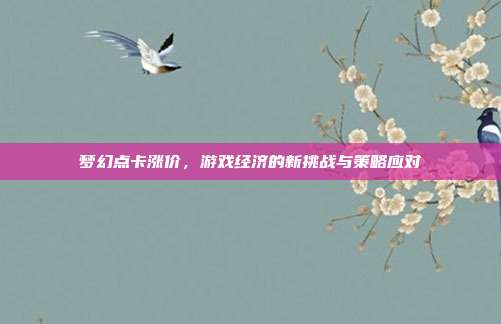 梦幻点卡涨价，游戏经济的新挑战与策略应对
