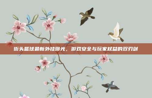 街头篮球最新外挂曝光,游戏安全与玩家权益的双刃剑