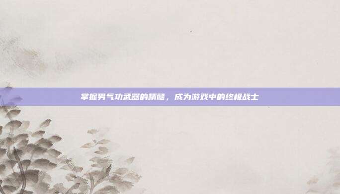掌握男气功武器的精髓,成为游戏中的终极战士