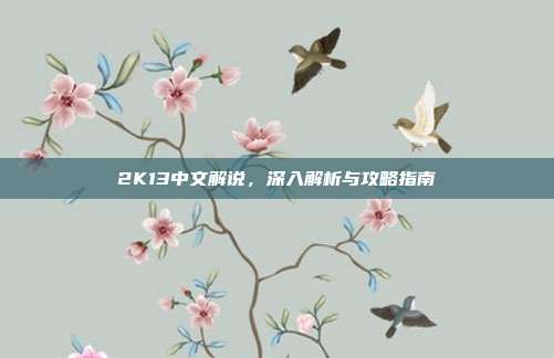 2K13中文解说，深入解析与攻略指南