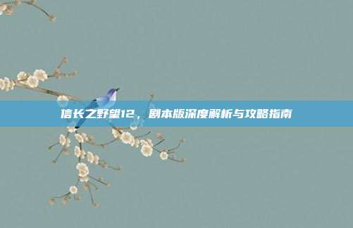信长之野望12，剧本版深度解析与攻略指南
