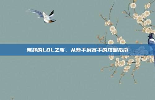 陈赫的LOL之旅,从新手到高手的攻略指南