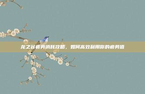 龙之谷疲劳消耗攻略，如何高效利用你的疲劳值