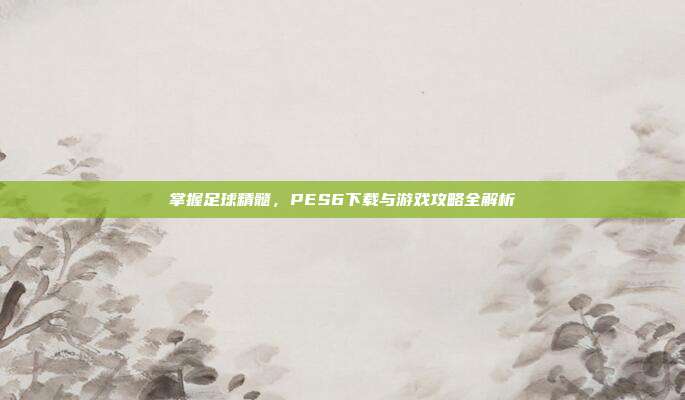 掌握足球精髓,PES6下载与游戏攻略全解析